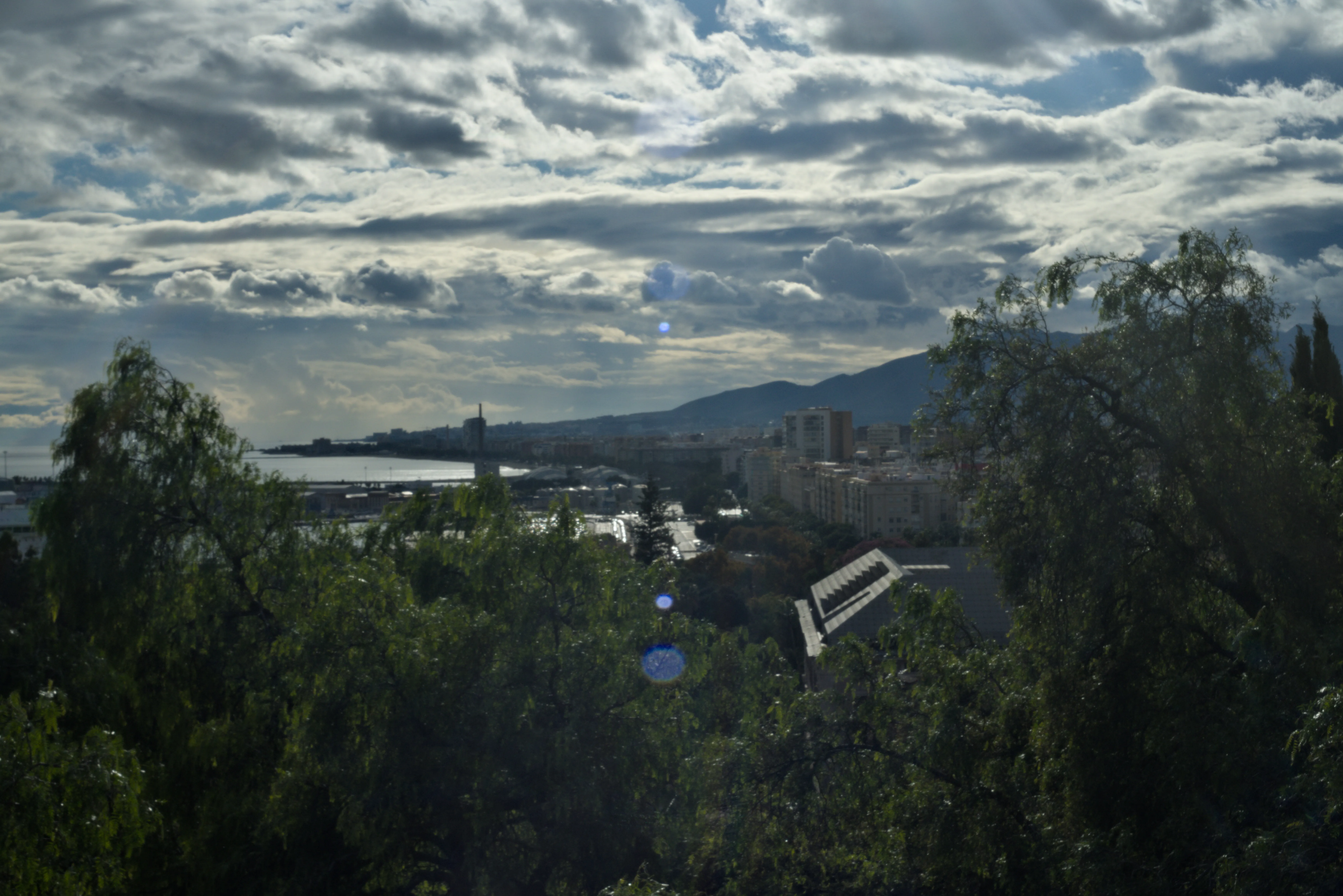 Meyer-Optik Görlitz Primagon 35mm f4.5 (M42) - _I4A7294.webp